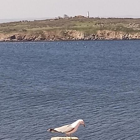 Damaris Hotell Sozopol Exteriör bild