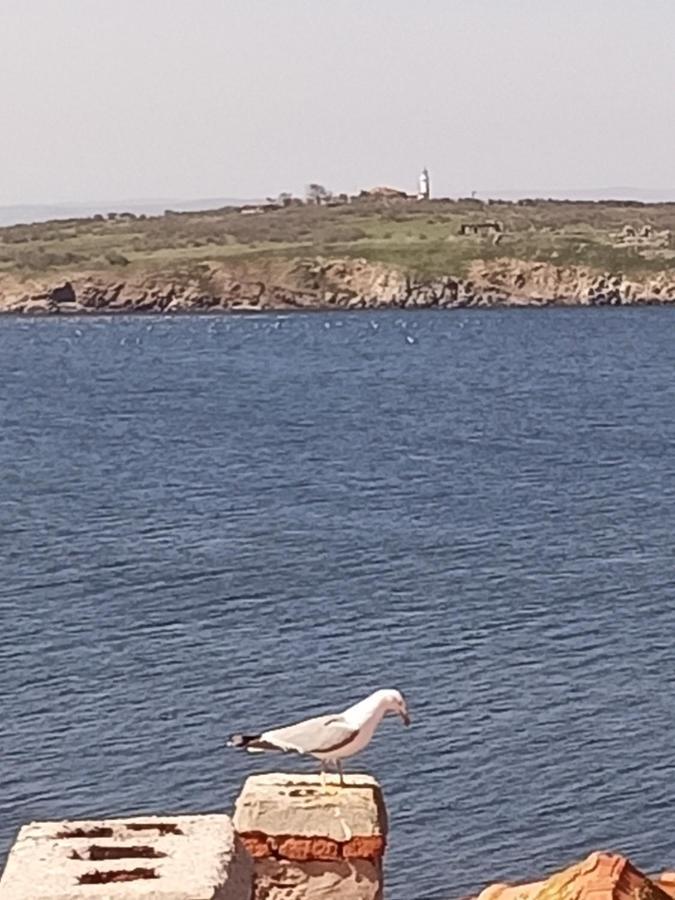 Damaris Hotell Sozopol Exteriör bild