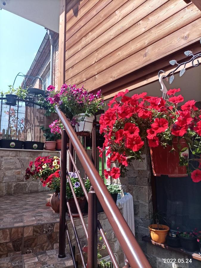 Damaris Hotell Sozopol Exteriör bild