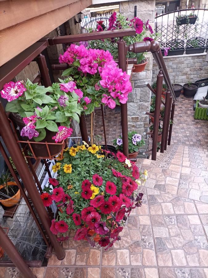 Damaris Hotell Sozopol Exteriör bild